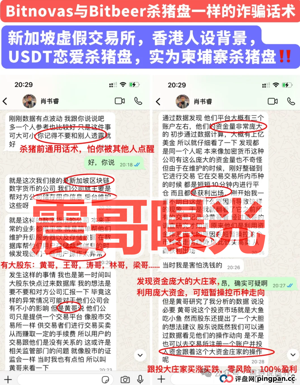 Bitnovas资金盘骗局,纯纯的恋爱杀猪盘,看见一定要远离(2) Bitnovas资金盘骗局,纯纯的恋爱杀猪盘,看见一定要远离(2)