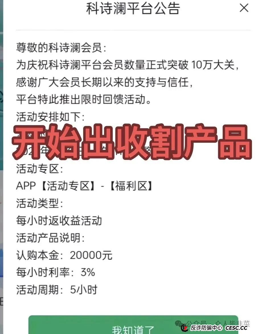 对话一位“科诗澜”受害者：我不是没怀疑，只是输给了“万一会是真的”