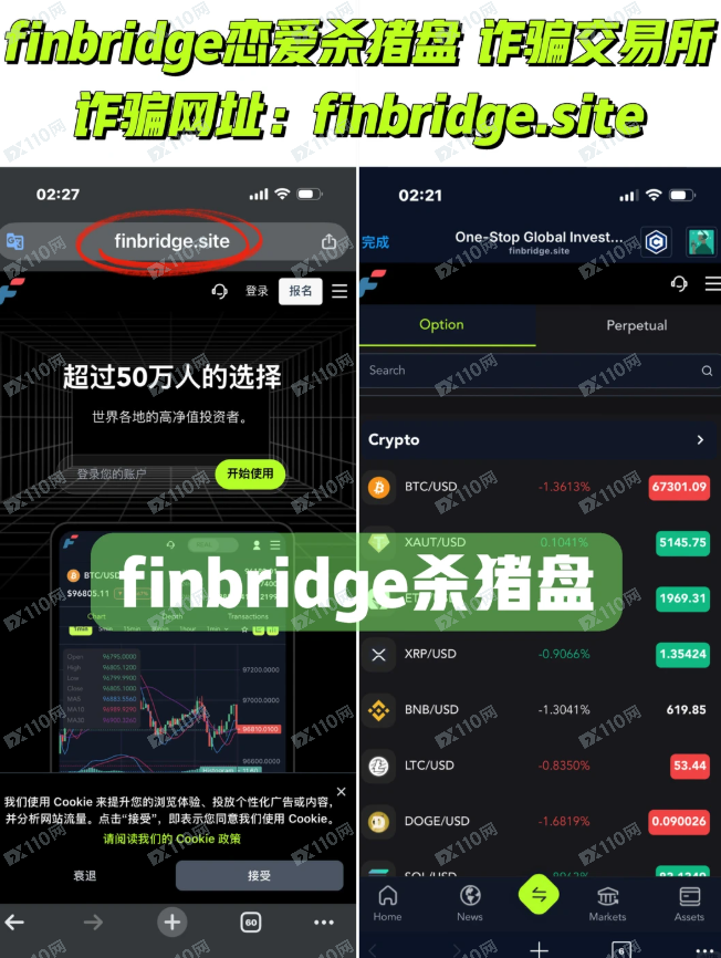 曝光Finbridge恋爱杀猪盘诈骗交易所