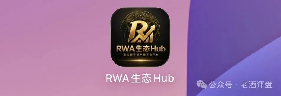 预警|“RWA生态Hub”披着RWA外衣的资金盘:实体资产上链是假,空投拉